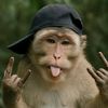 tupul.umpul