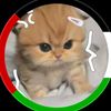 hamza.hamzaa66