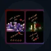 jaber492