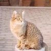 erisaaa3