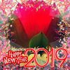 sayedhussain189