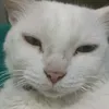 chico_bonto_2345