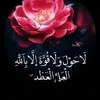 user7797663796152