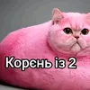 tw1styyyyyyyyy4