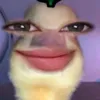 frncqine3