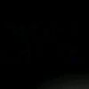 lamichelle98