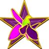 zahirmammadli