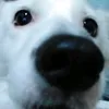 mr.sax_10