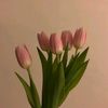 xrhadtl_aissy