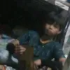 seichie12
