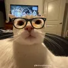 imsixseven0