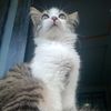 rizky4820