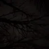 fl0w3rrr5