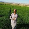 abujasamwazir