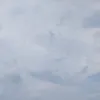 hnsgrpt