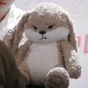 lily_zn04
