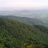 toomynguyentong