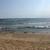 sergslivin