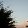 arinikho_