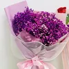 annahuynh110
