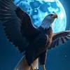 user3152721918735
