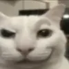 bmwhybrid