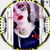 zzrr004