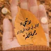 mohamed.al_aeish