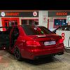 igor_00013