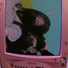 josex_humxn_cxrtier
