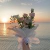 abrar155_