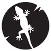 _lizard_666