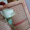 fatimabansadik1