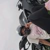 toothlesszx6r0