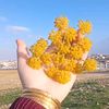 🥀🌹 ام مشعل🌹🥀