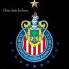 user9513090912870