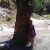elianneescobar0