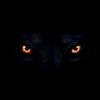 .lobito_7