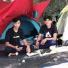 lmc_samsul