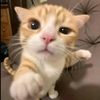 woopzhy