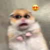 ngocngoc28020