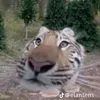 minh_fshing212