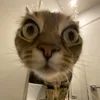 minkhan_123