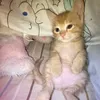 depgaiii_123