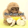 bananacat1944