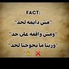 mohammedalbrans3
