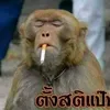kunmang77