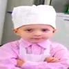 nemigan
