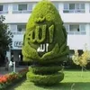 mnarosman0