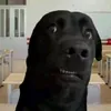 thuthao_737